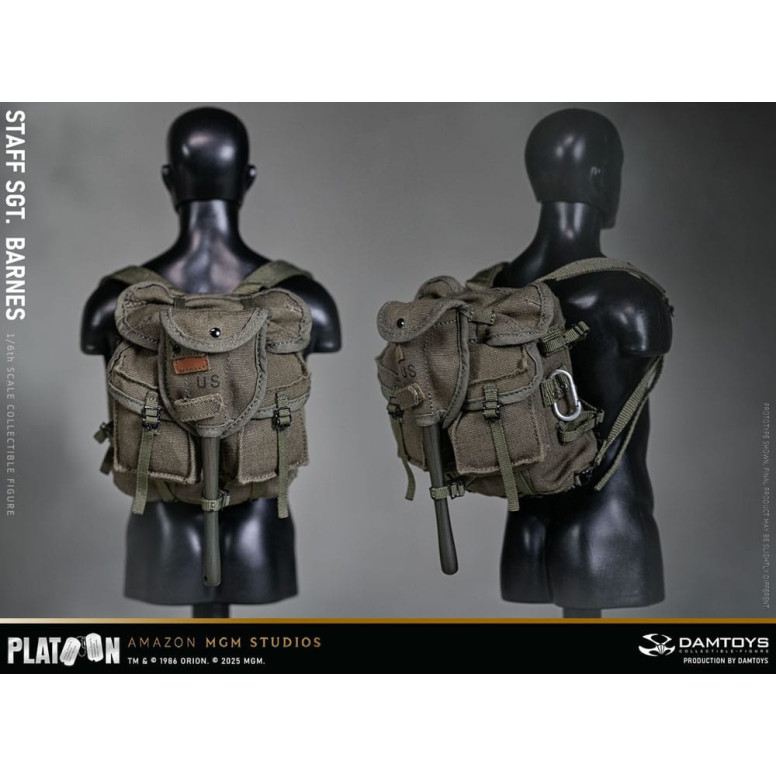 DAMTOYS - Platoon - Stabsfeldwebel Barnes 1/6 Sammlerstück