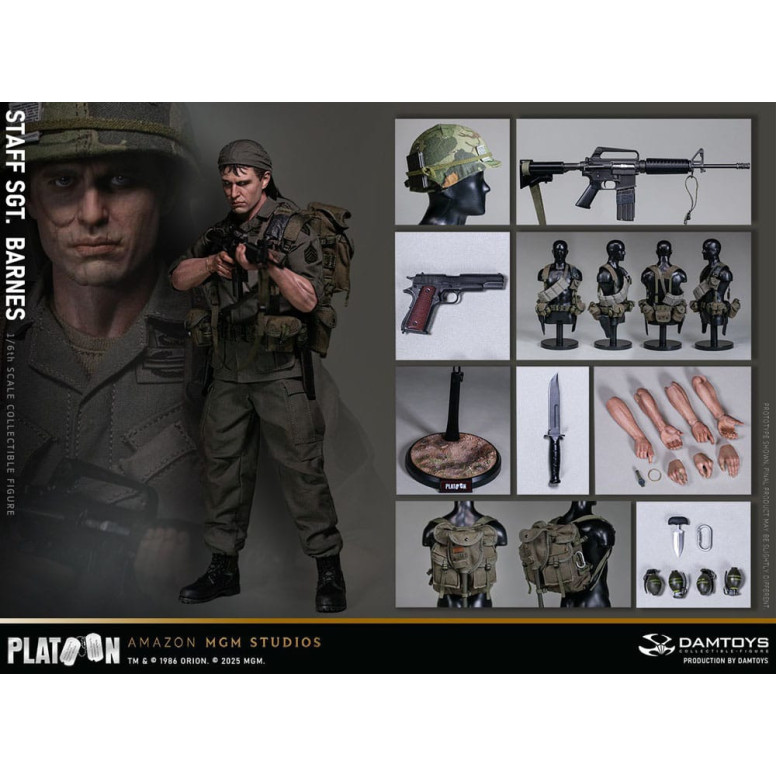 DAMTOYS - Platoon - Stabsfeldwebel Barnes 1/6 Sammlerstück