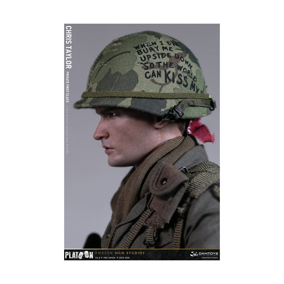 DAMTOYS - Platoon - Chris Taylor 1/6 Collectible