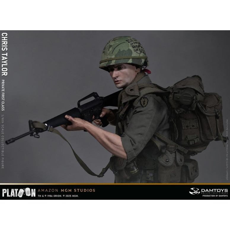 DAMTOYS - Platoon - Chris Taylor 1/6 Collectible