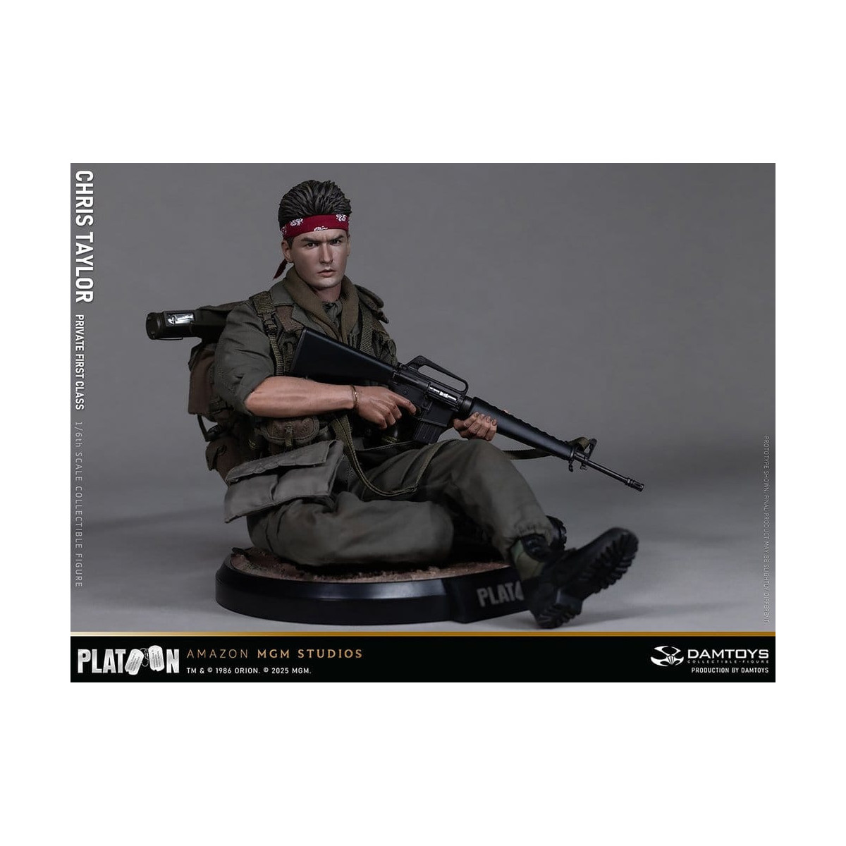 DAMTOYS - Platoon - Chris Taylor 1/6 Collectible