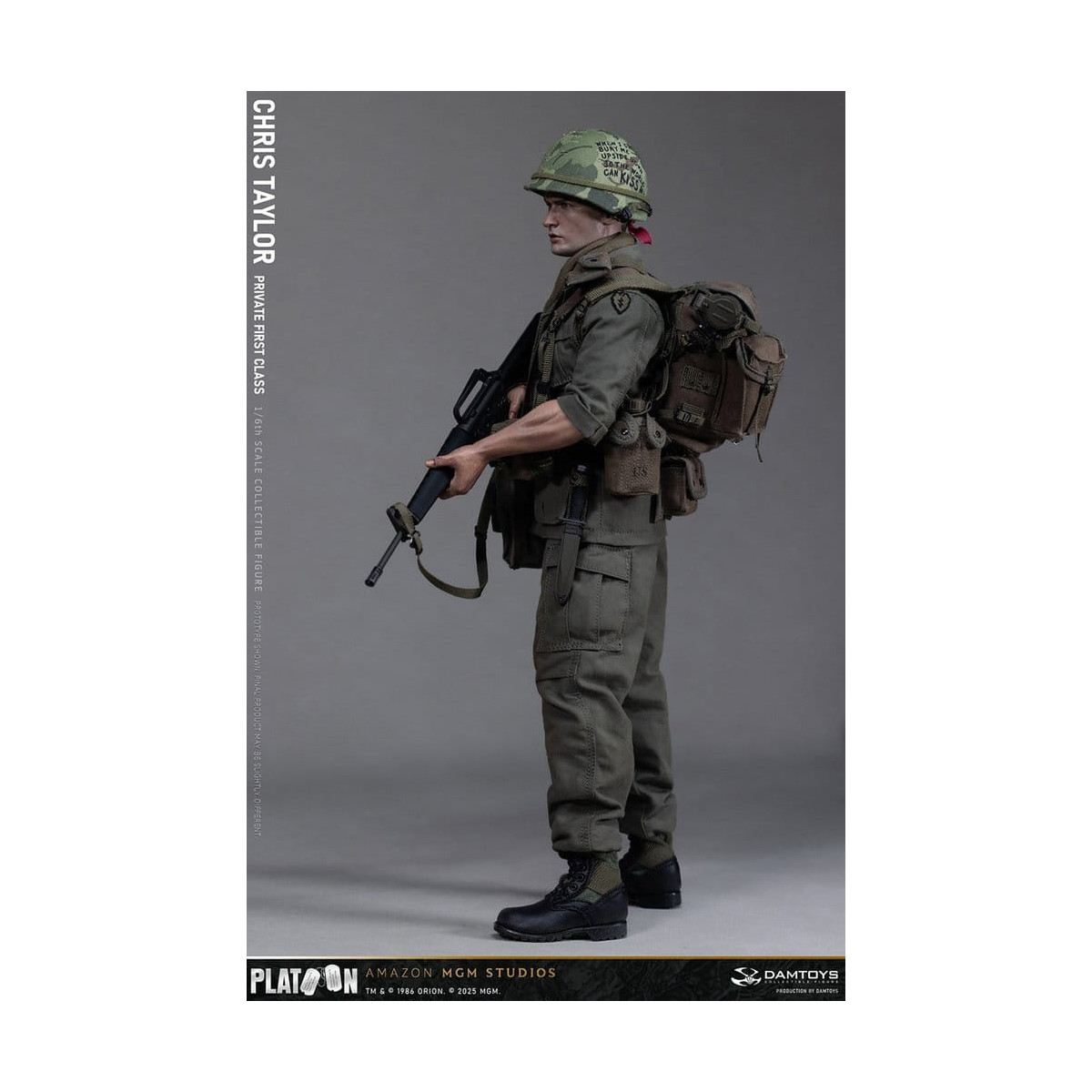 DAMTOYS - Platoon - Chris Taylor 1/6 Collectible