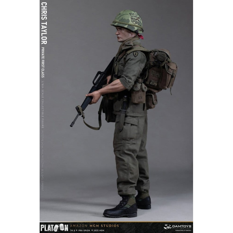 DAMTOYS - Platoon - Chris Taylor 1/6 Collectible
