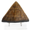 Toynami ECC Elite Creature Collectibles - Triceratops Spike Prop - - Jurassic Park