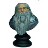 Weta -  Büste Darwen Lord 1/4 - Der Herr der Ringe - Gebraucht