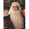 INART - Albus Dumbledore Deluxe Version 1/6 Scale Collectible Figure - Harry Potter and the Chamber of Secrets