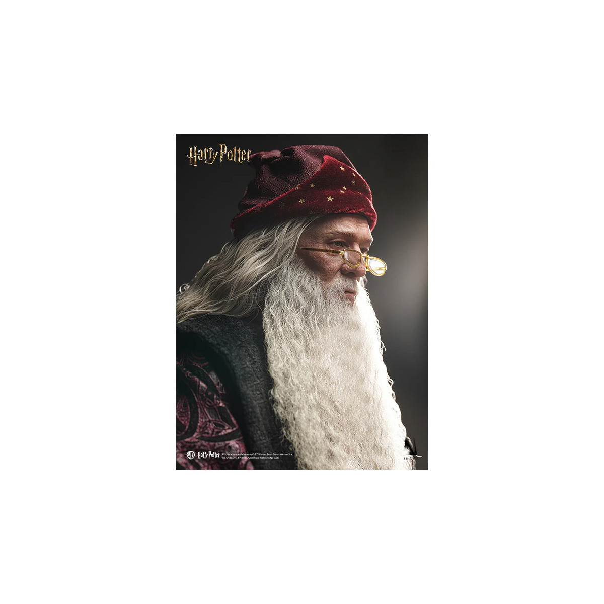 INART - Albus Dumbledore Deluxe Version 1/6 Scale Collectible Figure - Harry Potter and the Chamber of Secrets
