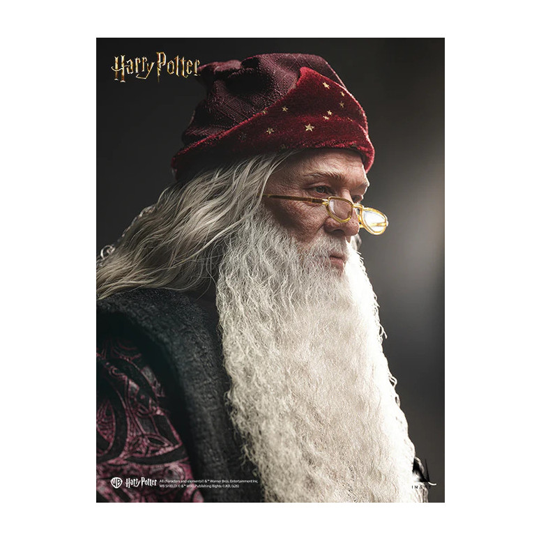 INART - Albus Dumbledore Deluxe Version 1/6 Scale Collectible Figure - Harry Potter and the Chamber of Secrets