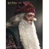 INART - Albus Dumbledore Deluxe Version 1/6 Scale Collectible Figure - Harry Potter and the Chamber of Secrets