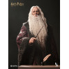 INART - Albus Dumbledore Premium Version 1/6 Scale Collectible Figure - Harry Potter and the Chamber of Secrets