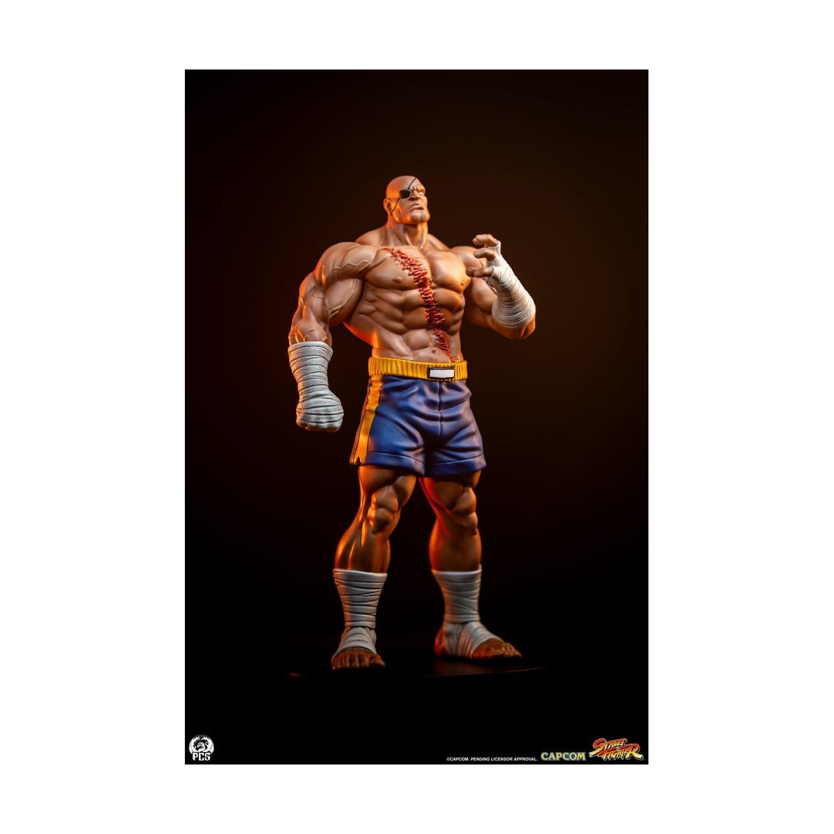 PCS - Street Fighter: Street Jam - Sagat & Juli 1:10 Scale Statue Set