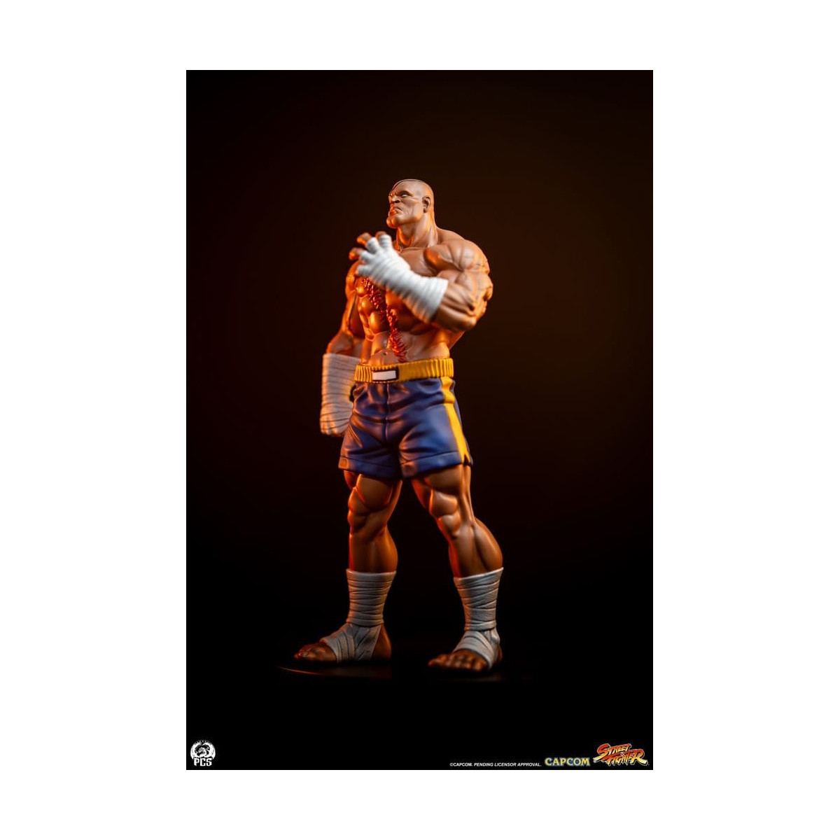 PCS - Street Fighter: Street Jam - Sagat & Juli 1:10 Scale Statue Set