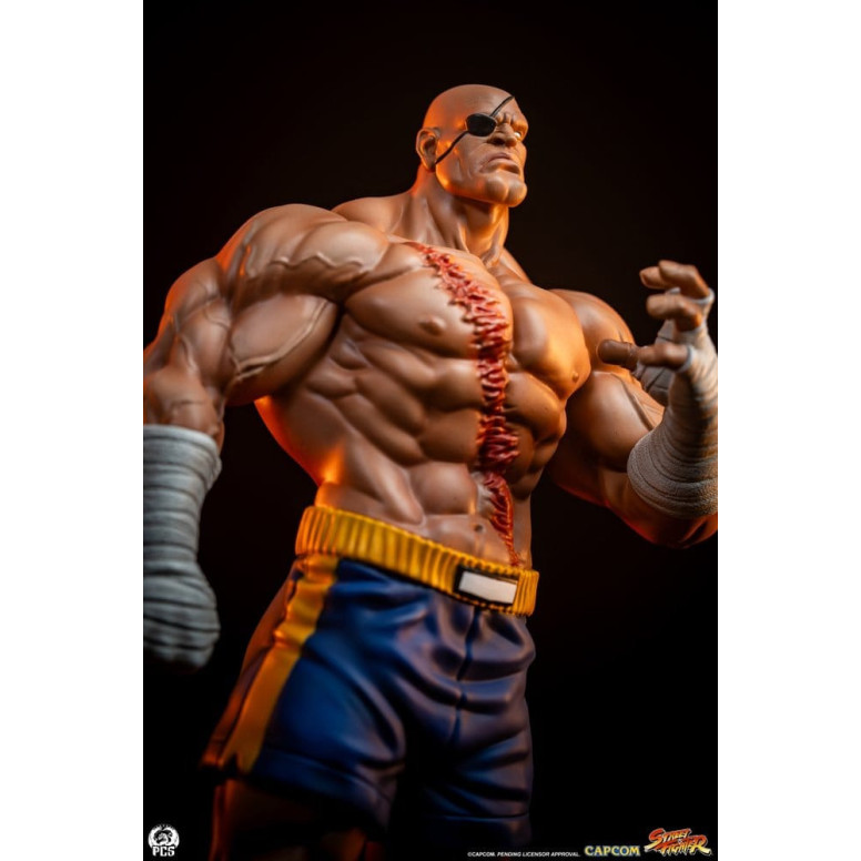PCS - Street Fighter: Street Jam - Sagat & Juli 1:10 Scale Statue Set