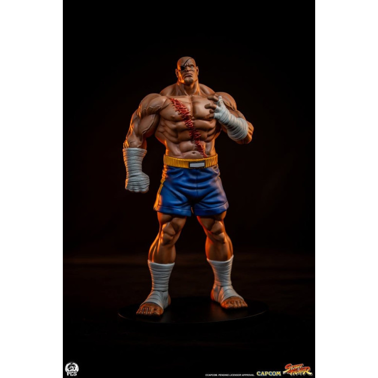PCS - Street Fighter: Street Jam - Sagat & Juli 1:10 Scale Statue Set