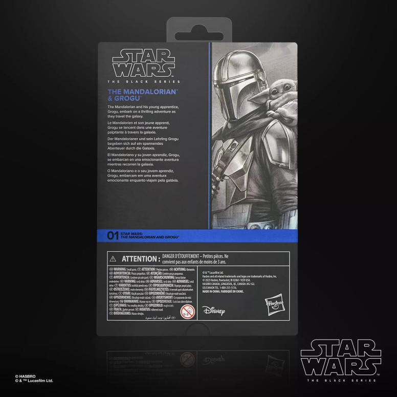 Hasbro Star Wars The Black Series - The Mandalorian & Grogu