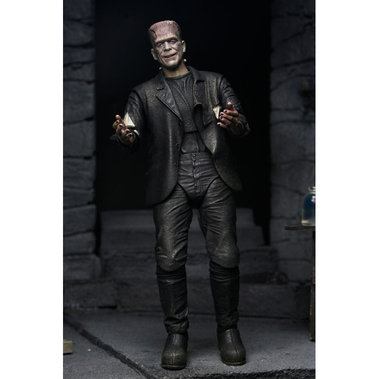 NECA Universal Monsters - 2 Pack Bride of Frankenstein 90th Anniversary The Monster & His Mate