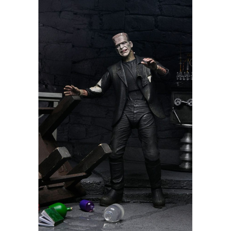 NECA Universal Monsters - 2 Pack Bride of Frankenstein 90th Anniversary The Monster & His Mate