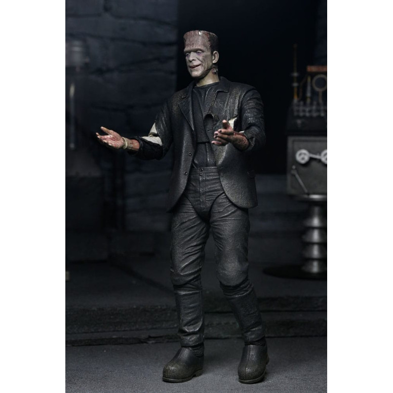 NECA Universal Monsters - 2 Pack Bride of Frankenstein 90th Anniversary The Monster & His Mate