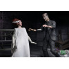 NECA Universal Monsters - 2 Pack Bride of Frankenstein 90th Anniversary The Monster & His Mate