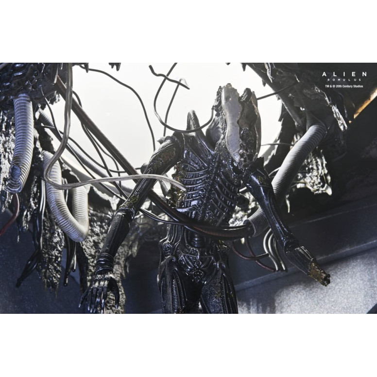 Neca - Alien: Romulus - Deluxe Suspended Lab Xenomorph XX121