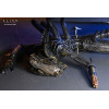 Neca - Alien: Romulus - Deluxe Suspended Lab Xenomorph XX121