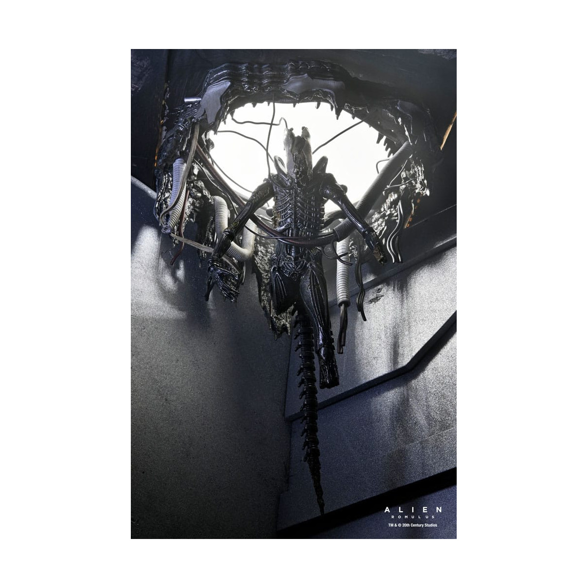 Neca - Alien: Romulus - Deluxe Suspended Lab Xenomorph XX121