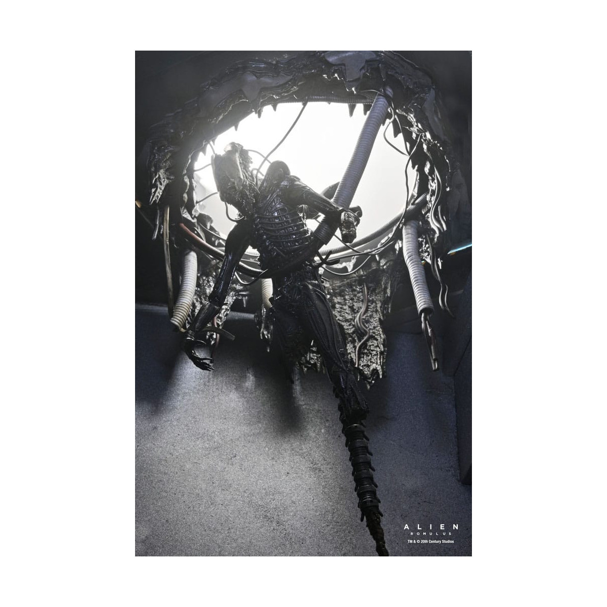 Neca - Alien: Romulus - Deluxe Suspended Lab Xenomorph XX121