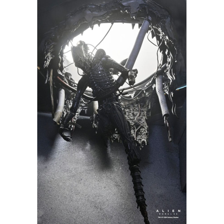 Neca - Alien: Romulus - Deluxe Suspended Lab Xenomorph XX121