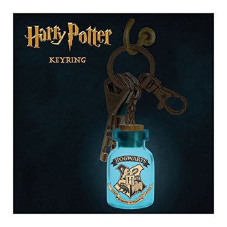 Paladone Harry Potter Leuchtender Themen-Schlüsselanhänger