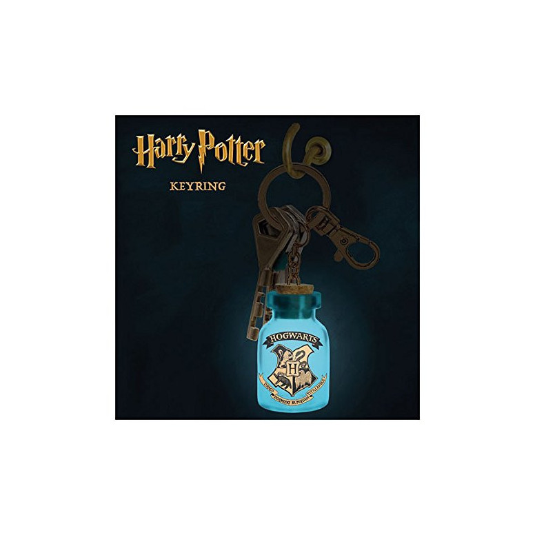 Paladone Harry Potter Leuchtender Themen-Schlüsselanhänger
