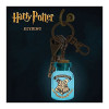 Paladone Harry Potter Leuchtender Themen-Schlüsselanhänger