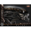 Prime 1 Studio - Big Chap Xenomorph Close Up Shot Ver. DX Bonus Version - Alien (1979) Museum Masterline XL 1/3
