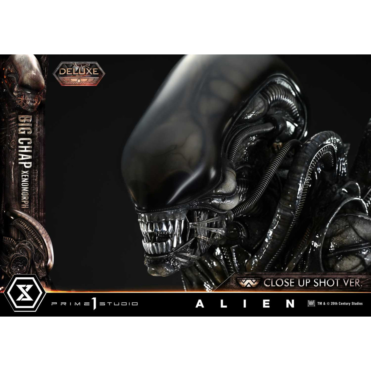 Prime 1 Studio - Big Chap Xenomorph Close Up Shot Ver. DX Bonus Version - Alien (1979) Museum Masterline XL 1/3