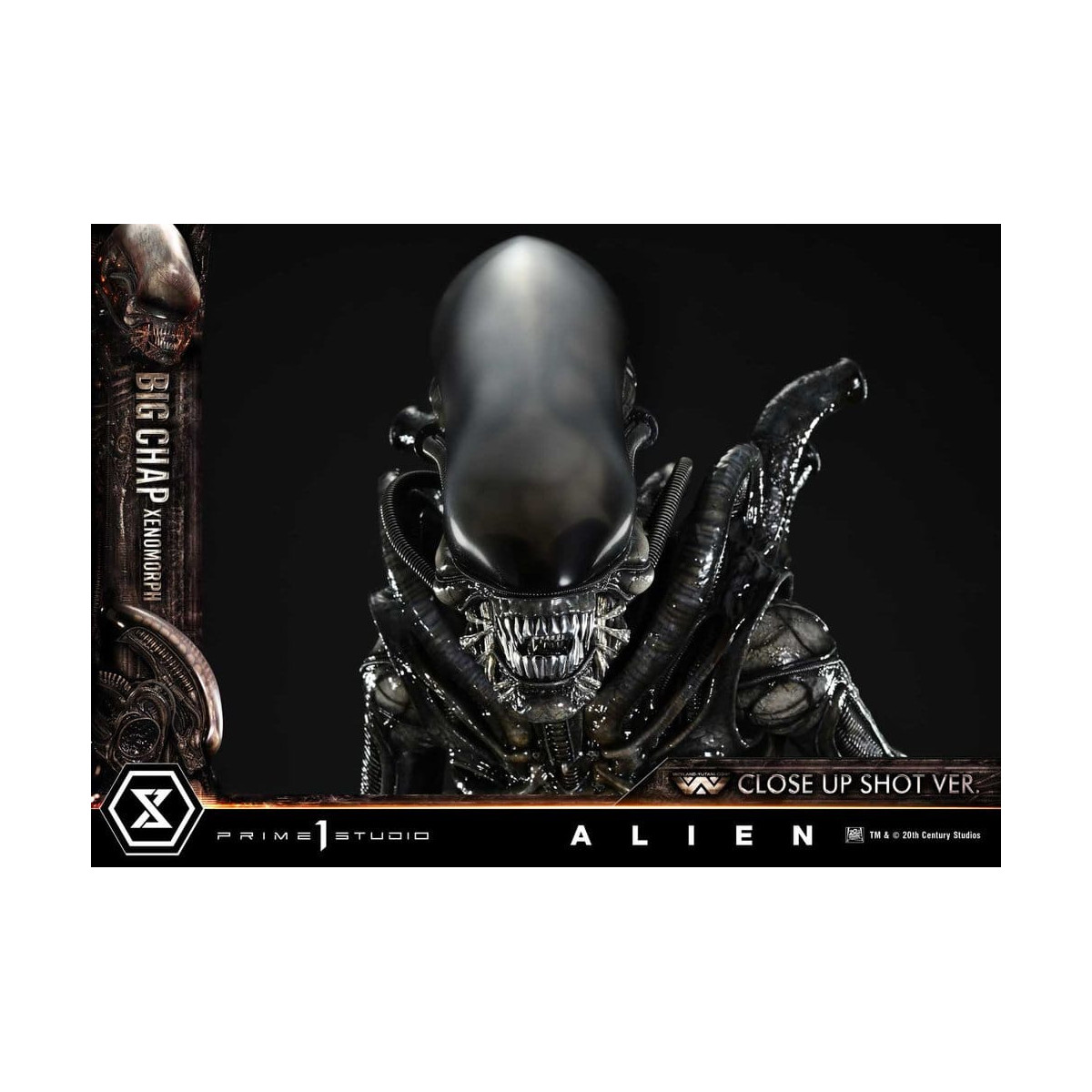 Prime 1 Studio - Big Chap Xenomorph Close Up Shot Ver.  - Alien (1979) Museum Masterline XL 1/3