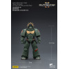JoyToy - Space Marines II - Dark Angels - Heavy Intercessor with Heavy Bolt Rifle and Bolt Pistol 1/18