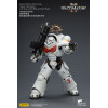 JoyToy - Space Marines II - White Scars - Heavy Intercessor with Heavy Bolt Rifle and Bolt Pistol 1/18