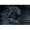 Neca Aliens - Ultimate Xenomorph Warrior - 40th anniversary (1986)