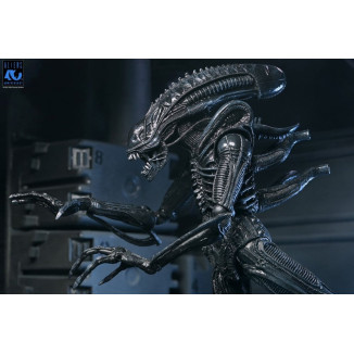 Neca Aliens - Ultimate Xenomorph Warrior - 40th anniversary (1986)
