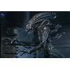 Neca Aliens - Ultimate Xenomorph Warrior - 40th anniversary (1986)