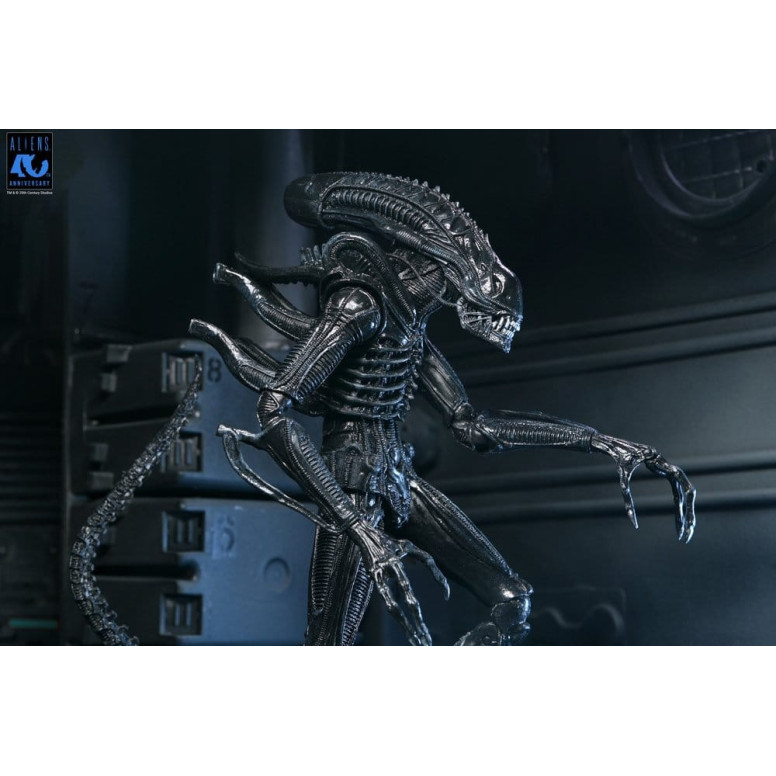Neca Aliens - Ultimate Xenomorph Warrior - 40th anniversary (1986)