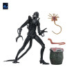 Neca Aliens - Ultimate Xenomorph Warrior - 40th anniversary (1986)