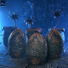 Neca Aliens - Carton of Alien Eggs (40th Anniversary) - 6 pack accessory pack