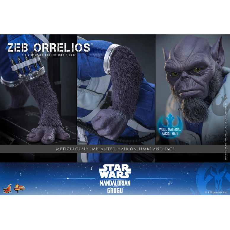 Hot Toys Star Wars - Zeb Orrelios 1/6 MMS876 - Star Wars: The Mandalorian & Grogu