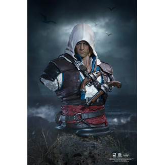 Pure Arts - Edward kenway 1/4 scale bust - Assassin's Creed Black Flag