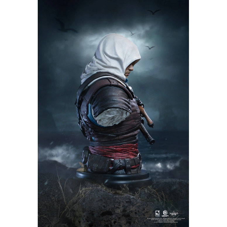 Pure Arts - Edward kenway 1/4 scale bust - Assassin's Creed Black Flag