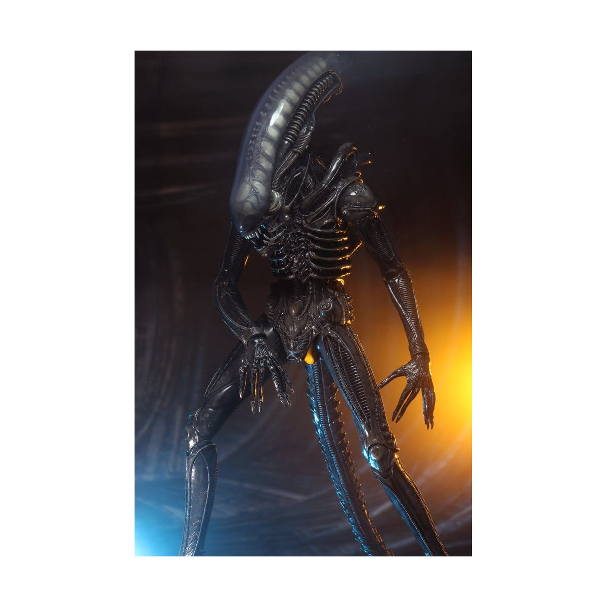 Neca Alien 1979 - Big Chap 1/4 - Kenner Box