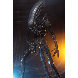Neca Alien 1979 - Big Chap 1/4 - Kenner Box