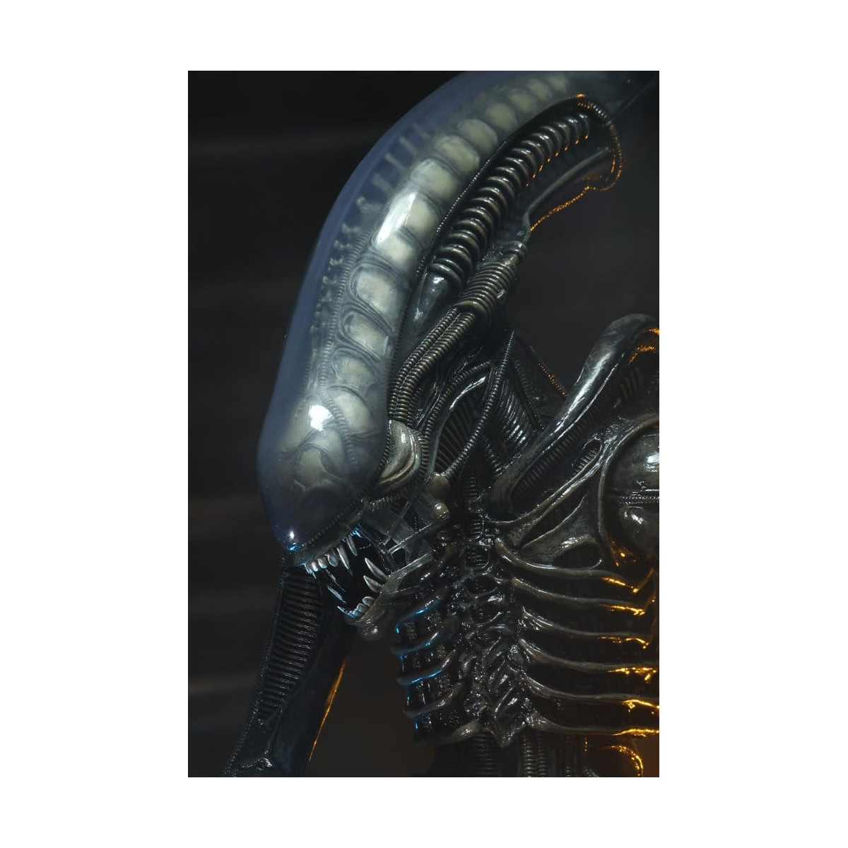 Neca Alien 1979 - Big Chap 1/4 - Kenner Box