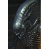 Neca Alien 1979 - Big Chap 1/4 - Kenner Box