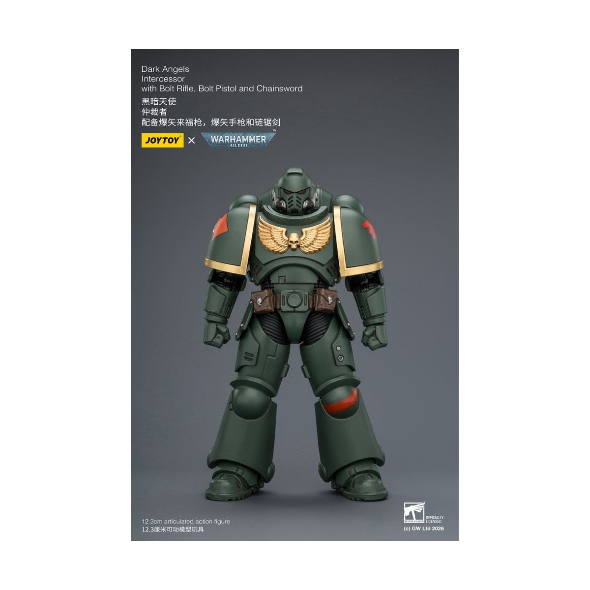 JoyToy Space Marines - Dark Angels - Intercessors 1/18 - Warhammer 40K